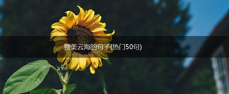 赞美云海的句子(热门50句),第1张