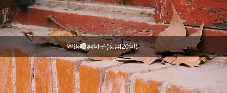粤语喝酒句子(实用20句),第1张