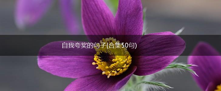 自我夸奖的句子(合集50句),第1张