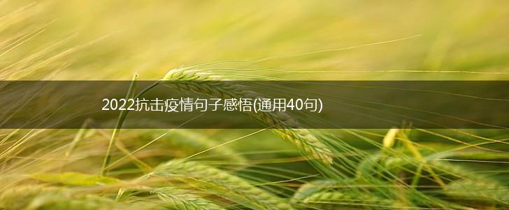 2022抗击疫情句子感悟(通用40句),第1张