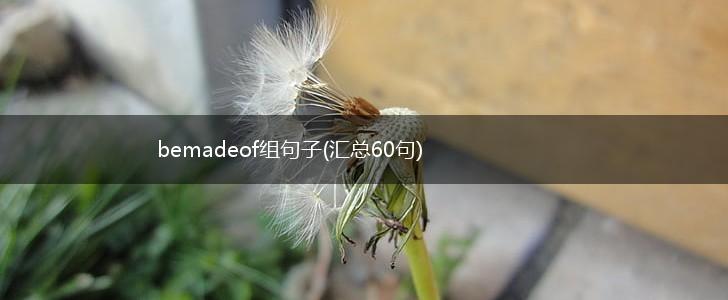bemadeof组句子(汇总60句),第1张