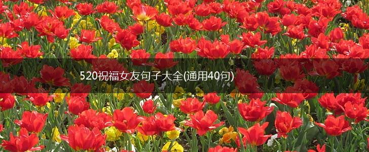 520祝福女友句子大全(通用40句),第1张