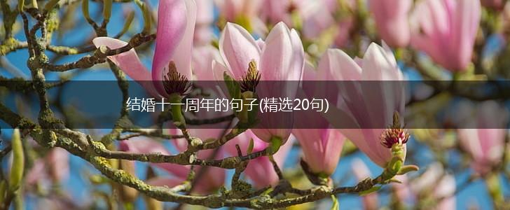 结婚十一周年的句子(精选20句),第1张