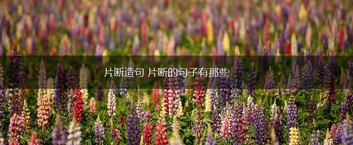 片断造句 片断的句子有那些,第1张