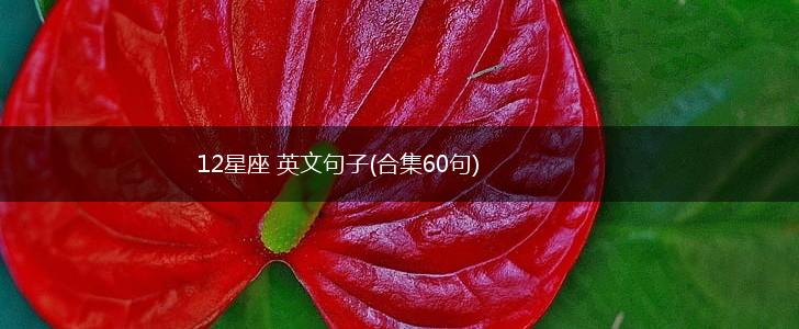 12星座 英文句子(合集60句),第1张