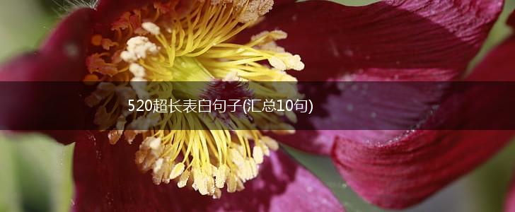 520超长表白句子(汇总10句),第1张