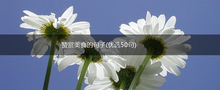 赞赏美食的句子(优选50句),第1张