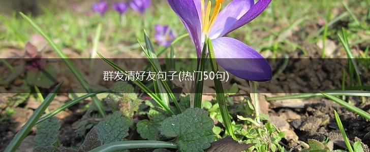 群发清好友句子(热门50句),第1张