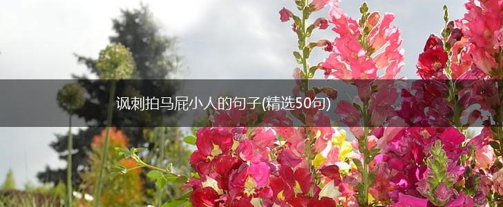 讽刺拍马屁小人的句子(精选50句),第1张