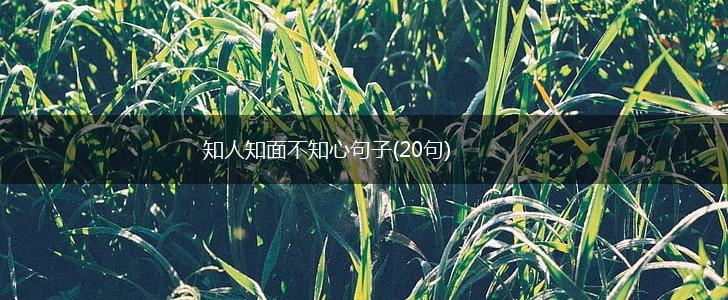 知人知面不知心句子(20句),第1张