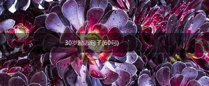 30岁励志句子(60句),第1张