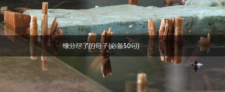 缘分尽了的句子(必备50句),第1张