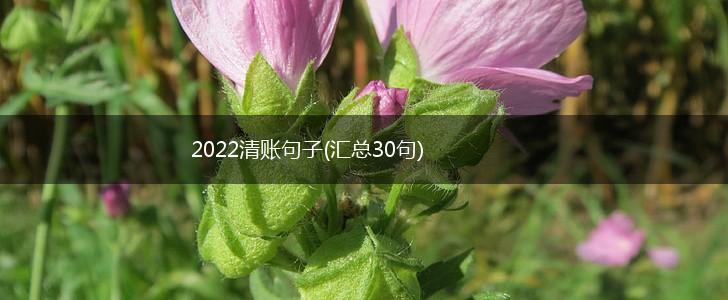 2022清账句子(汇总30句),第1张