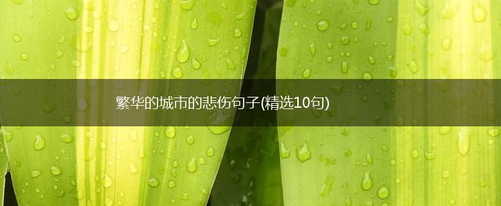 繁华的城市的悲伤句子(精选10句),第1张