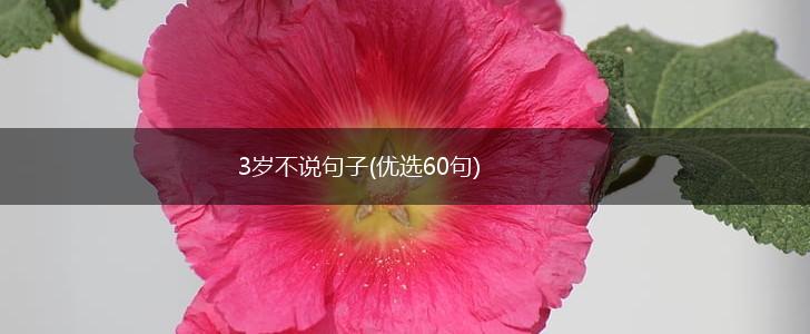 3岁不说句子(优选60句),第1张