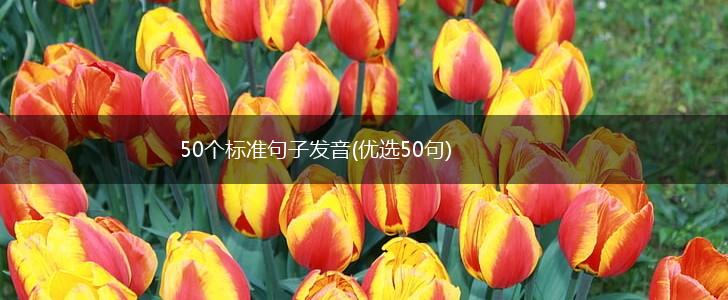 50个标准句子发音(优选50句),第1张