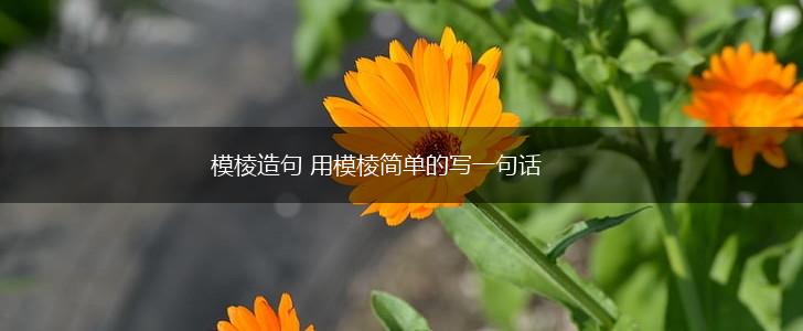 模棱造句 用模棱简单的写一句话,第1张