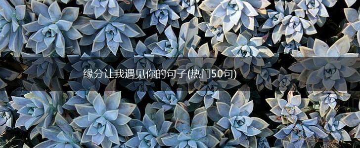 缘分让我遇见你的句子(热门50句),第1张