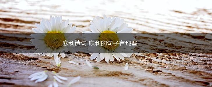 麻利造句 麻利的句子有那些,第1张