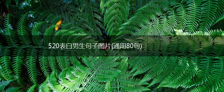520表白男生句子图片(通用80句),第1张