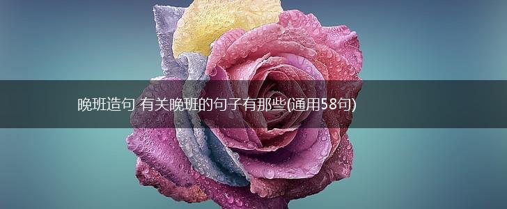 晚班造句 有关晚班的句子有那些(通用58句),第1张