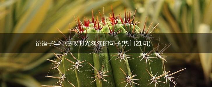 论语子罕中感叹时光匆匆的句子(热门21句),第1张