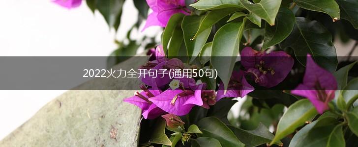 2022火力全开句子(通用50句),第1张