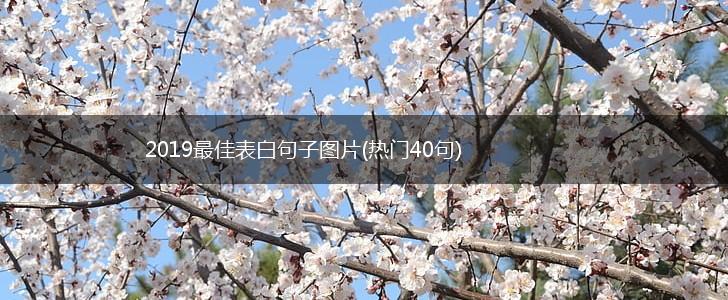 2019最佳表白句子图片(热门40句),第1张