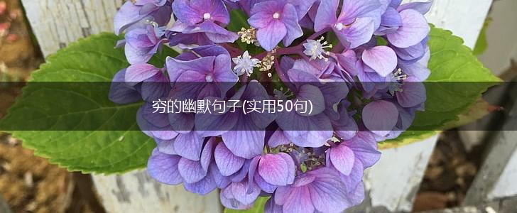 穷的幽默句子(实用50句),第1张