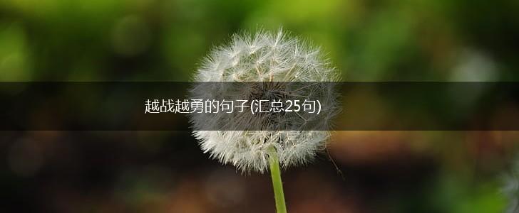 越战越勇的句子(汇总25句),第1张