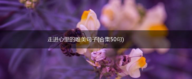走进心里的唯美句子(合集50句),第1张