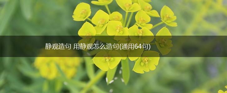 静观造句 用静观怎么造句(通用64句),第1张