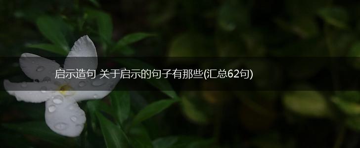 启示造句 关于启示的句子有那些(汇总62句),第1张