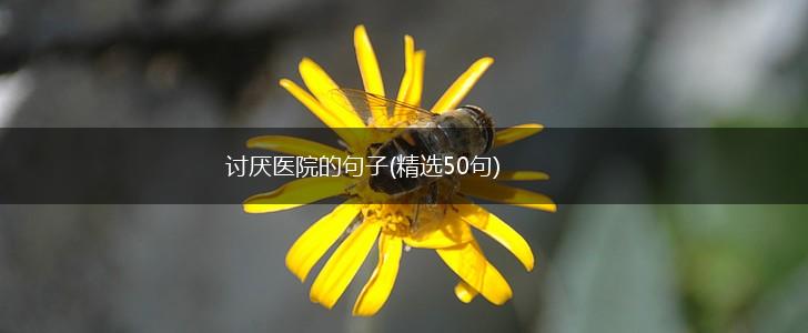 讨厌医院的句子(精选50句),第1张