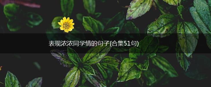 表现浓浓同学情的句子(合集51句),第1张