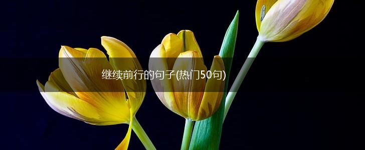 继续前行的句子(热门50句),第1张