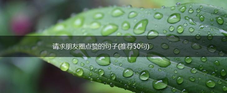 请求朋友圈点赞的句子(推荐50句),第1张