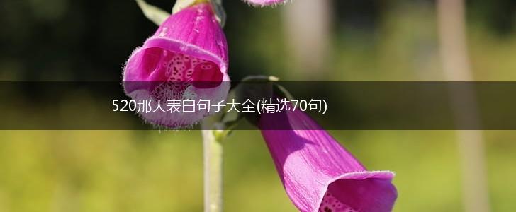 520那天表白句子大全(精选70句),第1张