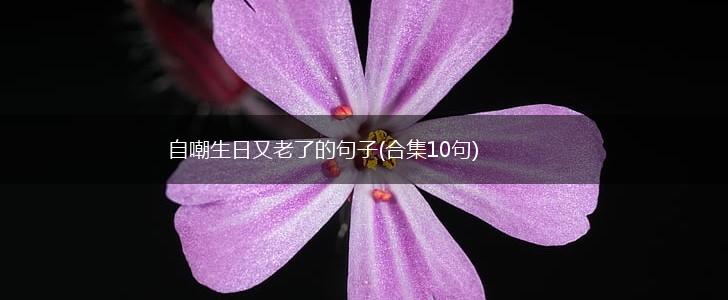 自嘲生日又老了的句子(合集10句),第1张