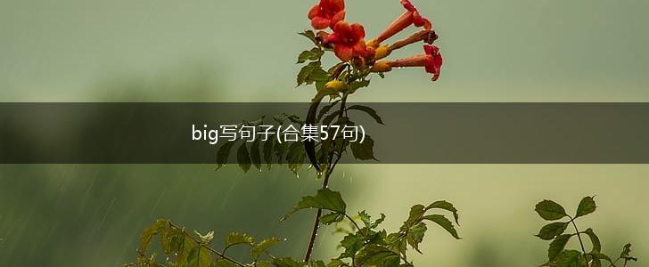 big写句子(合集57句),第1张