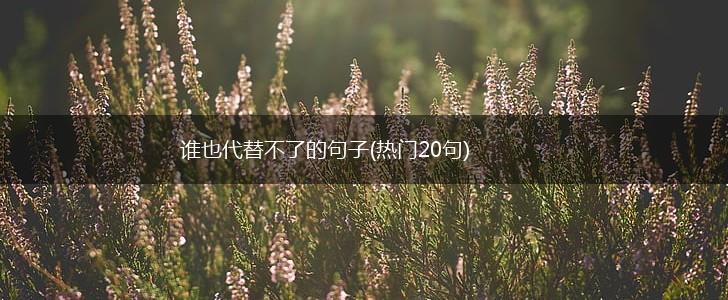 谁也代替不了的句子(热门20句),第1张