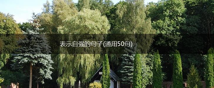 表示自强的句子(通用50句),第1张