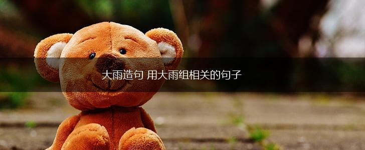大雨造句 用大雨组相关的句子,第1张