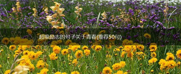 超级励志的句子关于青春(推荐50句),第1张