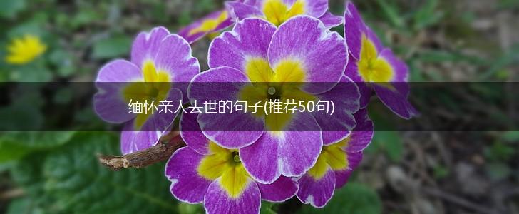 缅怀亲人去世的句子(推荐50句),第1张