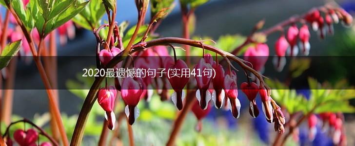 2020最遗憾的句子(实用41句),第1张