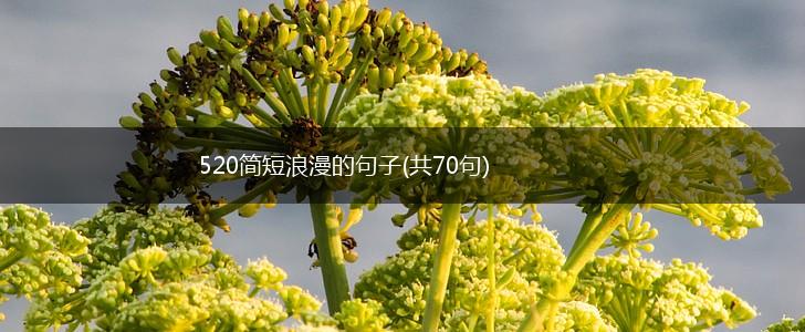 520简短浪漫的句子(共70句),第1张