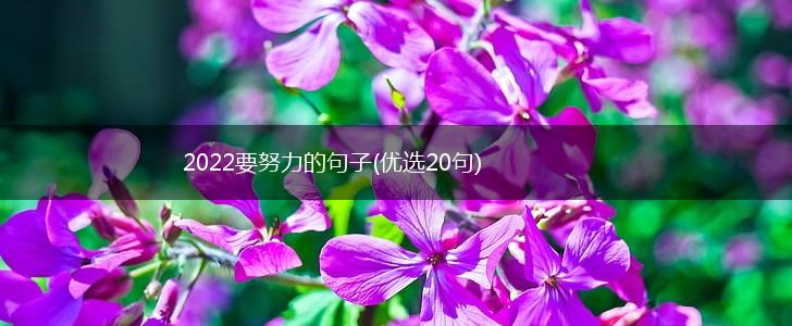 2022要努力的句子(优选20句),第1张