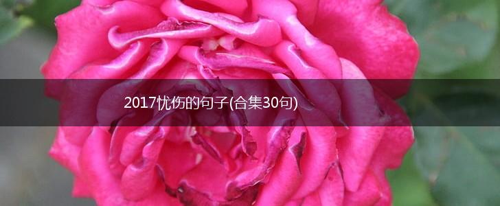 2017忧伤的句子(合集30句),第1张
