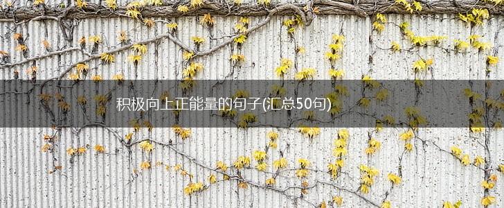 积极向上正能量的句子(汇总50句),第1张